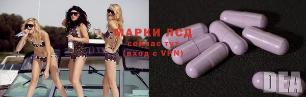 ПСИЛОЦИБИНОВЫЕ ГРИБЫ Гусь-Хрустальный