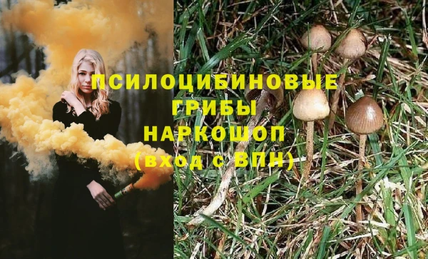 а пвп мука Гусиноозёрск