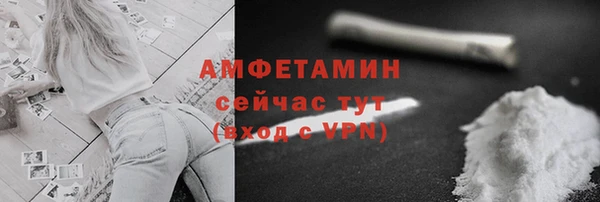 ПСИЛОЦИБИНОВЫЕ ГРИБЫ Гусь-Хрустальный