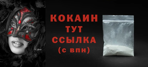 ПСИЛОЦИБИНОВЫЕ ГРИБЫ Гусь-Хрустальный
