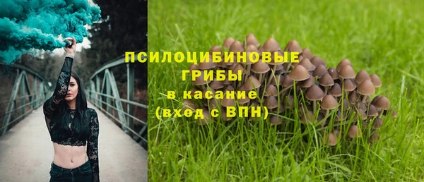 а пвп мука Гусиноозёрск