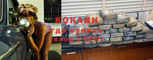 ПСИЛОЦИБИНОВЫЕ ГРИБЫ Гусь-Хрустальный