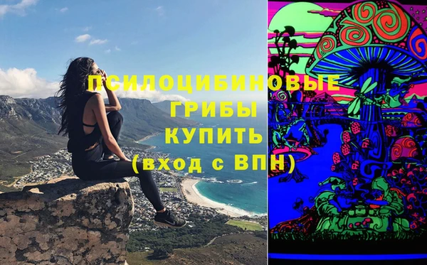 альфа пвп Гусев