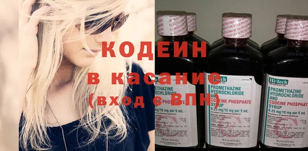 ПСИЛОЦИБИНОВЫЕ ГРИБЫ Гусь-Хрустальный