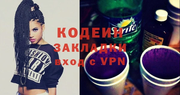 ПСИЛОЦИБИНОВЫЕ ГРИБЫ Гусь-Хрустальный