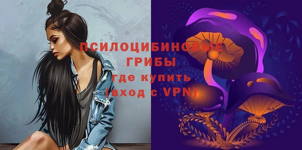 а пвп мука Гусиноозёрск